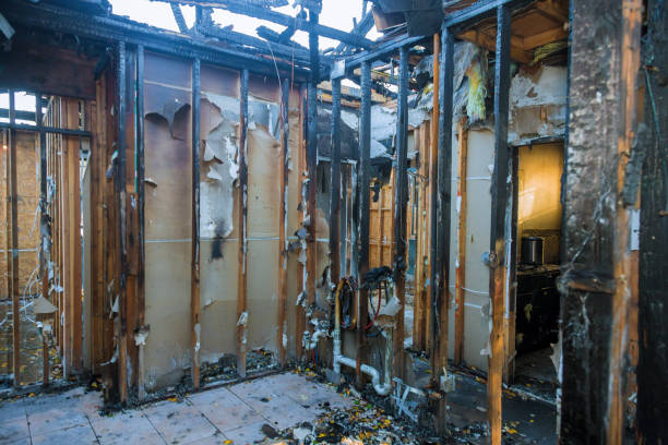 Professional Fire Damage Cleanup technician working in Princeton, TX